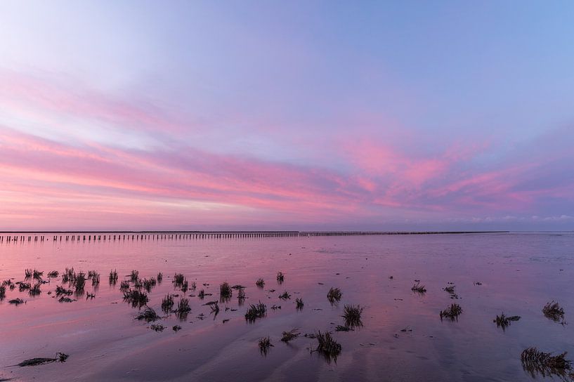Wad color by Jan Georg Meijer