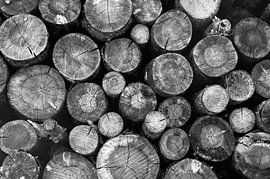 Stapel houten stammen | zwart-wit van Jos van Ooij