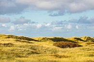 Landschaft in den Dünen auf der Insel Amrum van Rico Ködder thumbnail