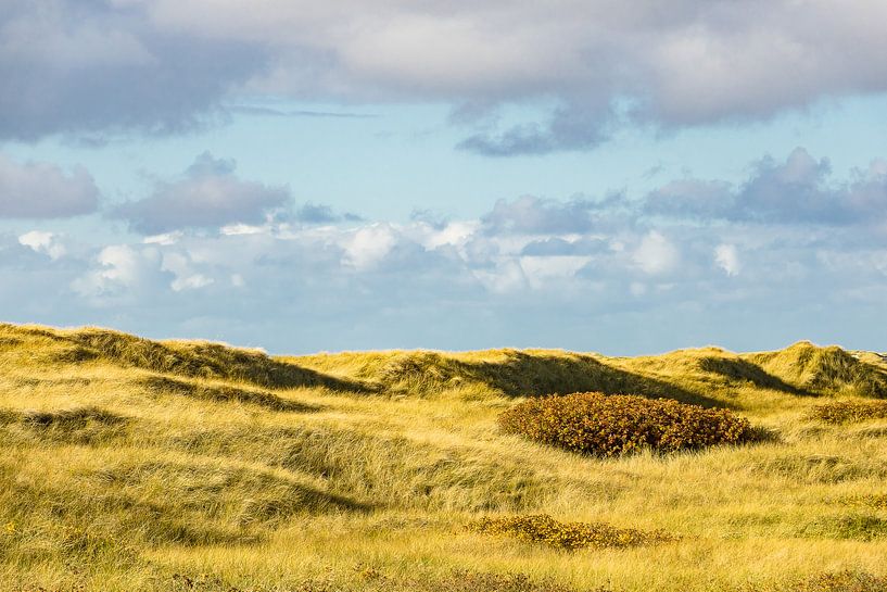 Landschaft in den Dünen auf der Insel Amrum van Rico Ködder