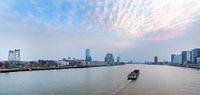 Skyline Rotterdam met boot van Anouschka Hendriks thumbnail