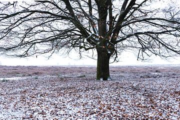 Boom in sneeuwlandschap 01 by Cilia Brandts