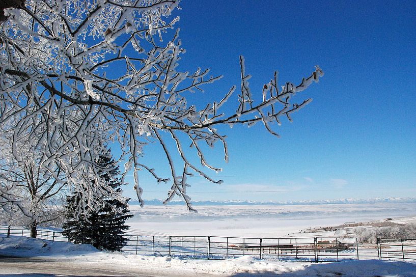 RIJP/FROST von Roelof Touw