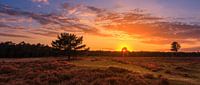 Reemsterhei Sunset 1 Panorama van Joram Janssen thumbnail