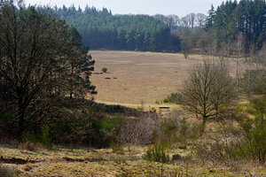 Blick auf eine Ausgrabung