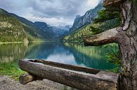 Gosausee in Oberösterreich, Oostenrijk van Melissa Peltenburg thumbnail