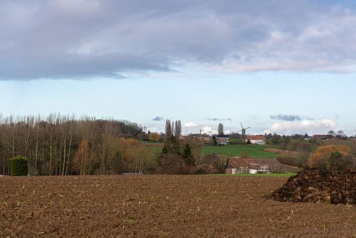 Agriculture fields, meadows and bare winter trees at the borders
