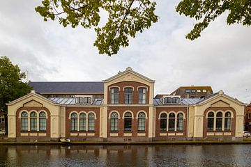 Webster Campus Leiden van Michael Ruland