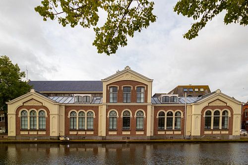Webster Leiden Campus