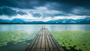 Sommerregen im Allgäu von Martin Wasilewski