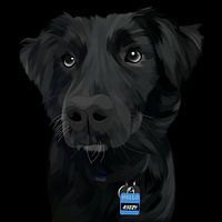 schwarzer Hund