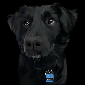 chien noir