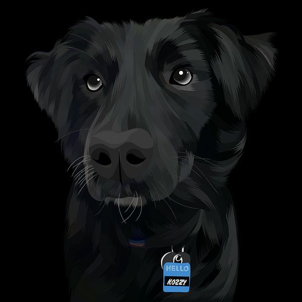 black dog by mshel tyan