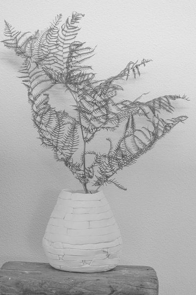 Dried fern by Hanneke Bantje
