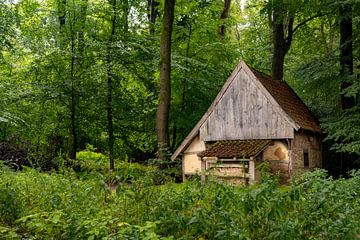 Huisje in een bos van Ralf Bankert