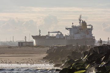 Schepen onderweg in de vroege ochtend aan Wijk aan Zee van scheepskijkerhavenfotografie