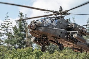 Was raschelt denn da im Gebüsch? Tiefflug mit einem Apache-Kampfhubschrauber der Königlichen Niederl