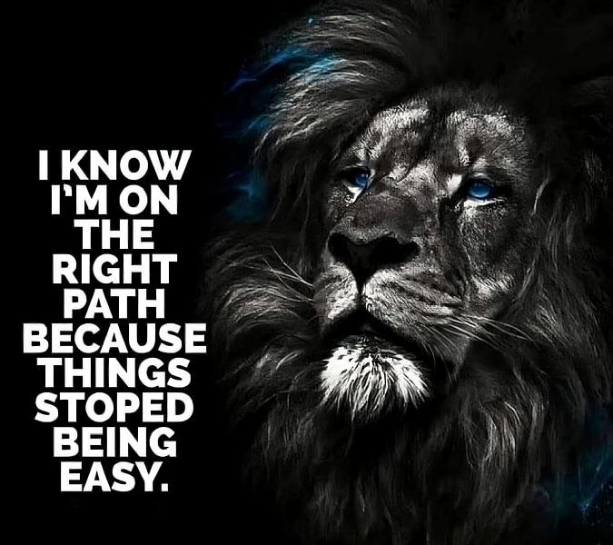 Löwe Tier Motivation von Quotes Motivation