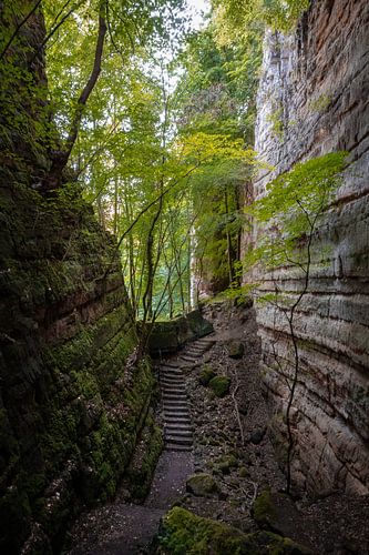 Gorges de Loup in de Müllerthal, Luxemburg