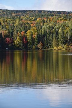 Reflection on the lake in autumn by Claude Laprise