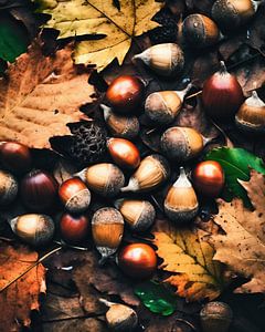 Herbststimmung