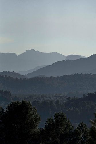 Bergen fine art minimalism