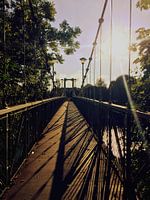 die goldene Brücke zum Glück