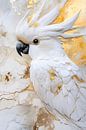 Detailed white cockatoo on background by Imperial Art House thumbnail