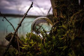 Nature by Dani Mulder
