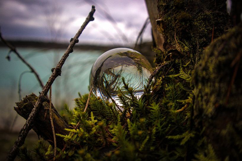 Nature par Dani Mulder