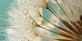 Warmes Landpanorama: Goldbrauner Flaum mit Türkis von Marjolijn van den Berg