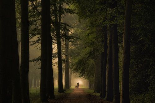 Genieten in het ochtenlicht op Landgoed Soelen