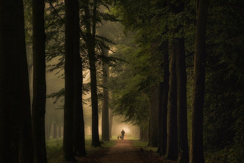 Enjoying the morning light on Landgoed Soelen by Moetwil en van Dijk - Fotografie