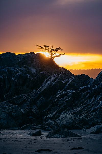 Die Macht der Einfachheit von Niek Wittenberg