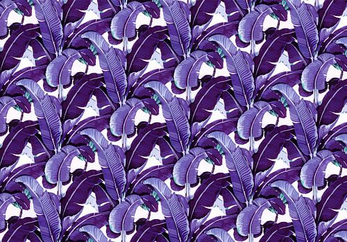 Matinique Banana Leave Purple