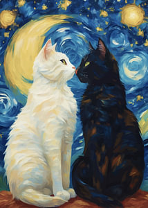 Schwarze und weiße Katze
