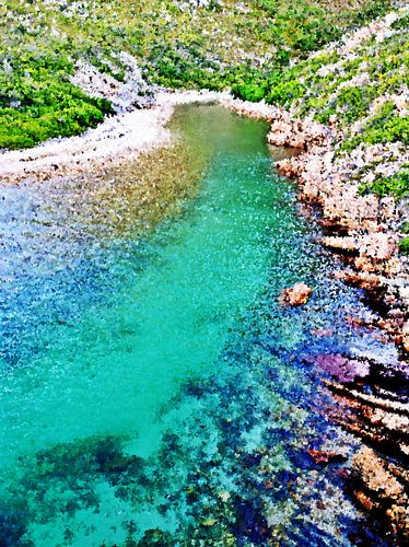 de Steenbras gemengde techniek