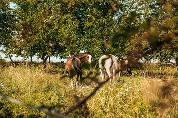 Kontakt mit der Natur