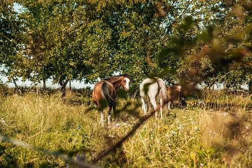 Kontakt mit der Natur