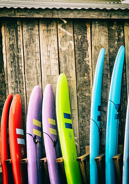 Surfboards by Rogier Steyvers