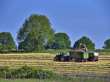 Paysan en train de récolter