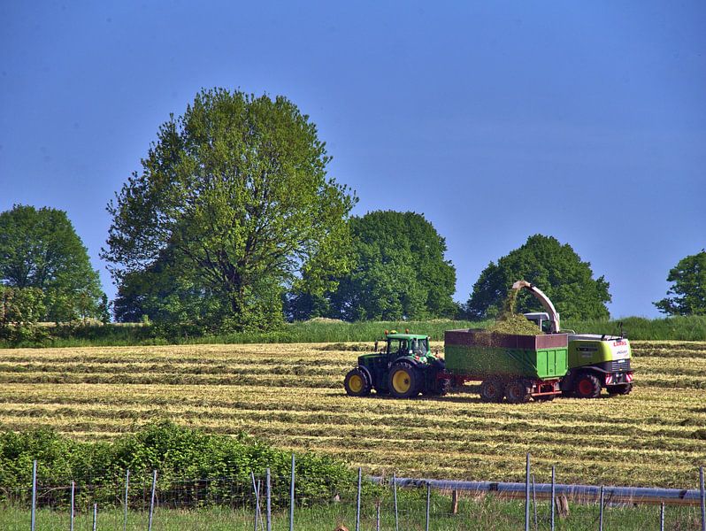 Paysan en train de récolter par Edgar Schermaul