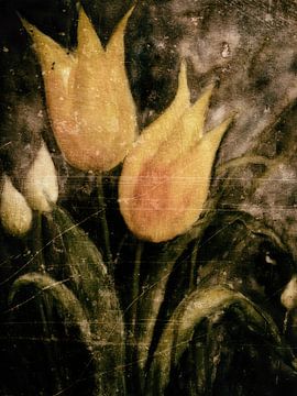 Gele tulpen in het voorjaar 's nachts van Christine Nöhmeier