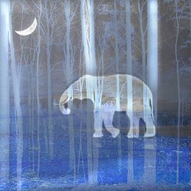 Mondlicht         by Vera Laake