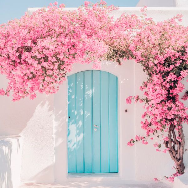 Flower magic door by Poster Art Shop
