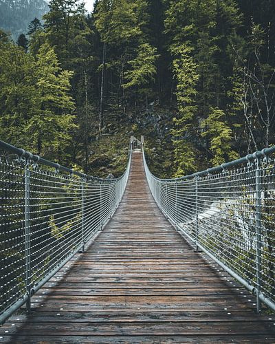 Suspension bridge