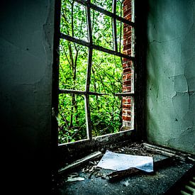 Green window by SchippersFotografie