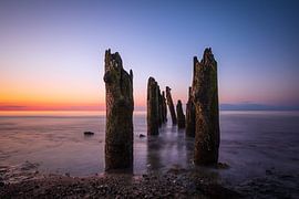 Groynes sur la côte de la mer Baltique près de Kühlungsborn sur Rico Ködder