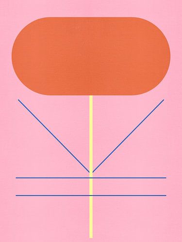 Géométrie des fleurs 03