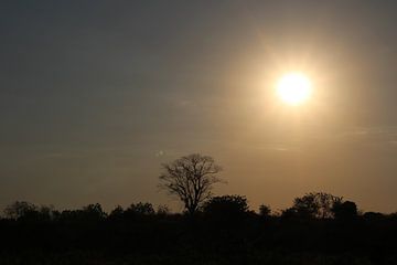 Silhouette soleil sur Marije Zwart